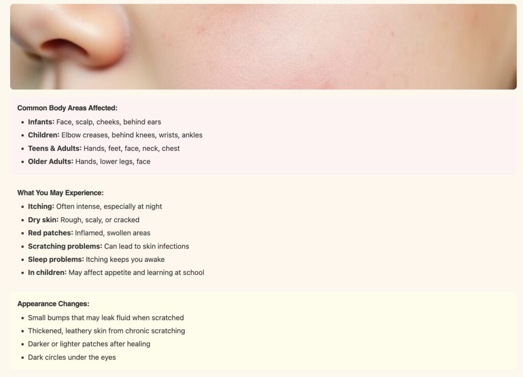 screenshot 2025 11 01 at 4.20.04 am